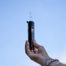 elfbar elfa master akku Arizer Air Max